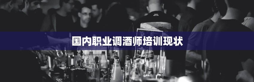 国内职业调酒师培训现状