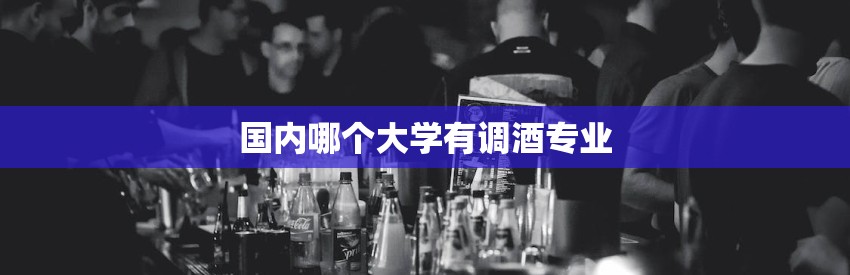 国内哪个大学有调酒专业